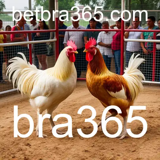 Rinha de galos